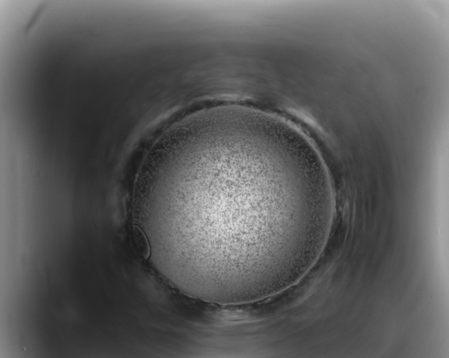 X0000090431448200707201127