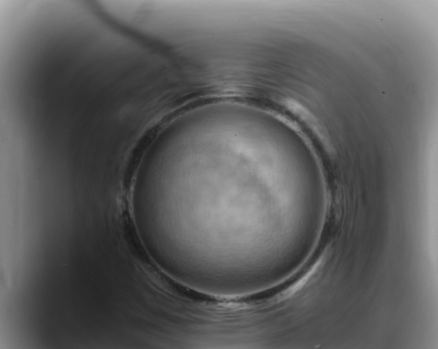 X0000090431449200707201127