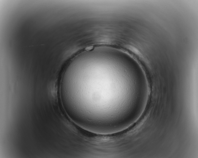 X0000090431450200707201127