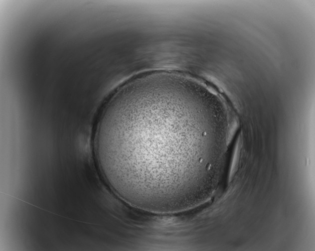X0000090431452200707201127