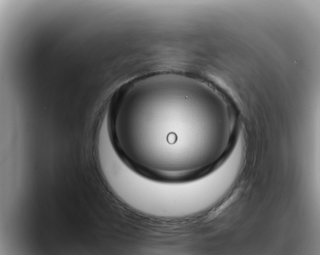 X0000090431453200707201127