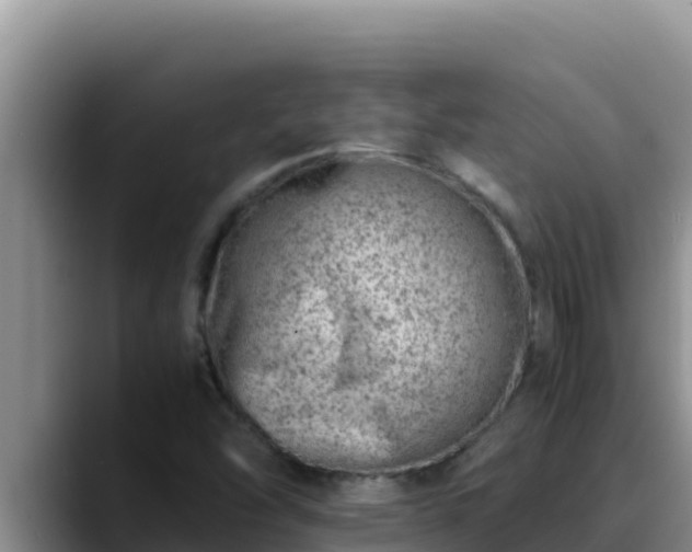 X0000090431454200707201127