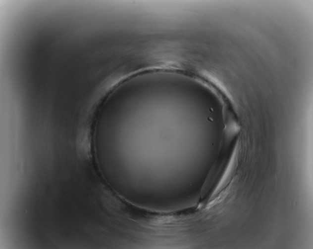 X0000090431455200707201127