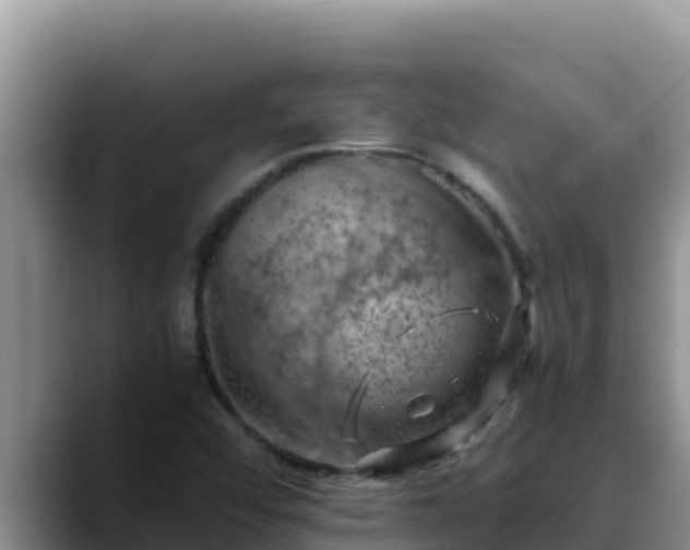 X0000090431456200707201127