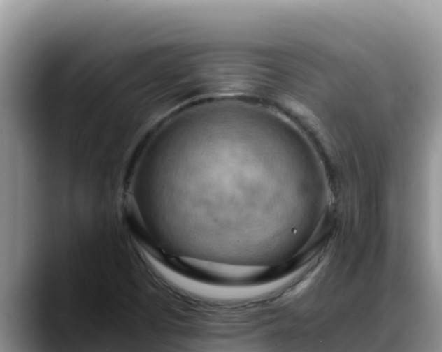 X0000090431457200707201127