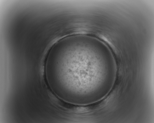 X0000090431459200707201127