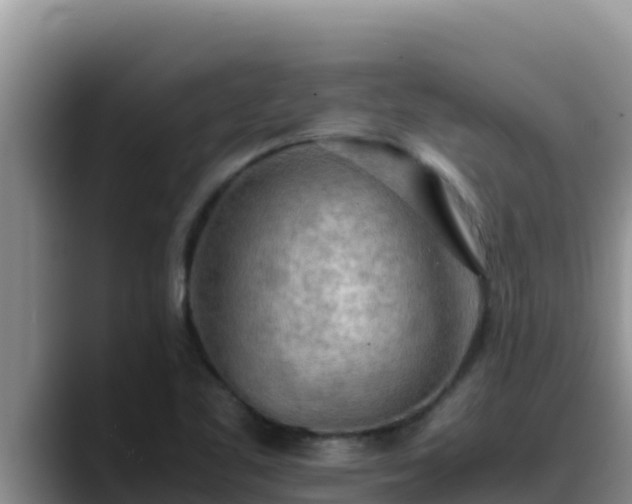 X0000090431461200707201127