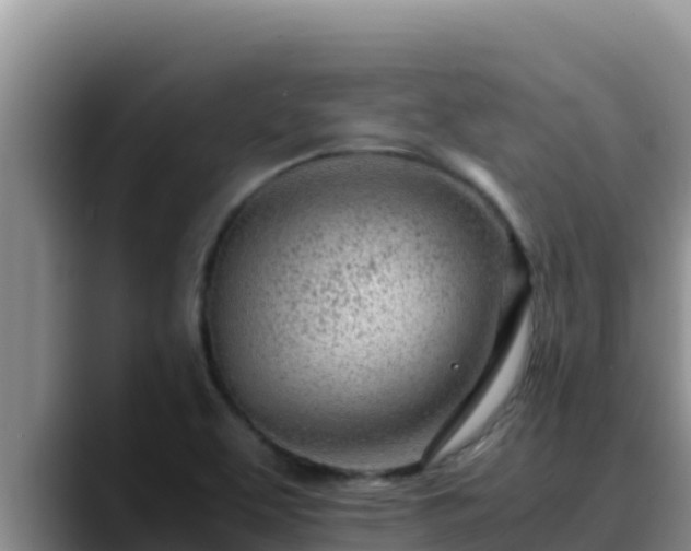 X0000090431463200707201127