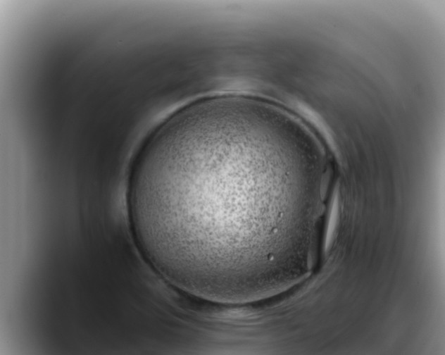 X0000090431464200707201127