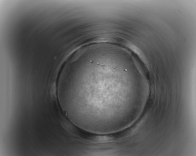 X0000090431465200707201127