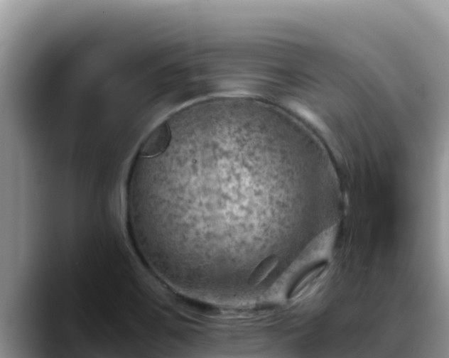 X0000090431467200707201127