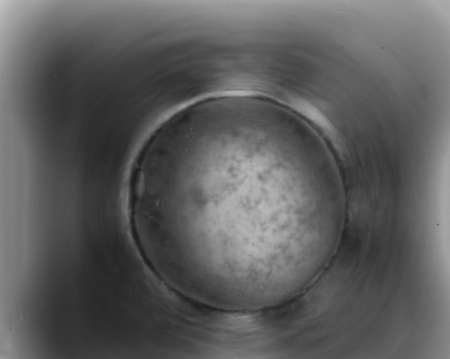 X0000090431472200707201127