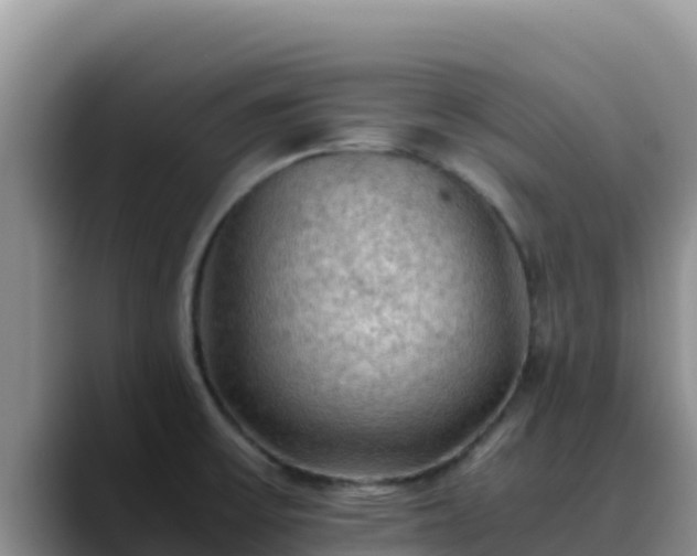 X0000090431475200707201127