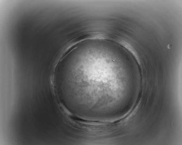 X0000090431481200707201127