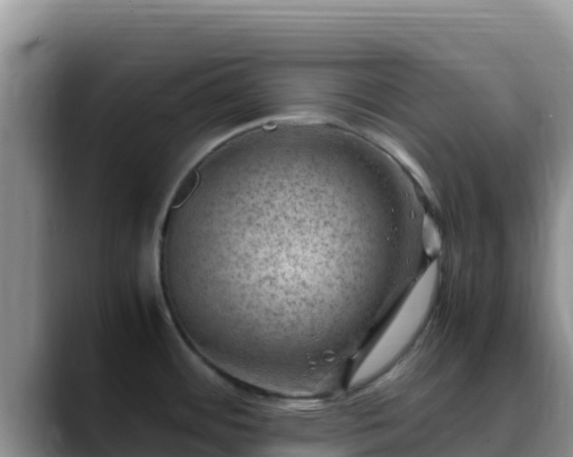 X0000090431484200707201127