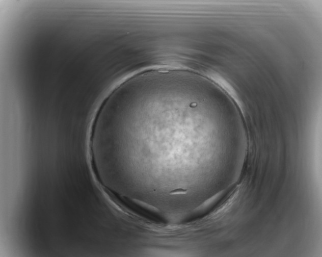 X0000090431485200707201127