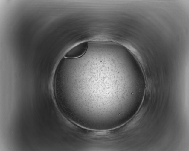 X0000090431486200707201127