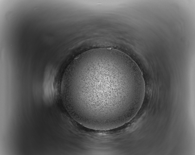 X0000090431490200707201126