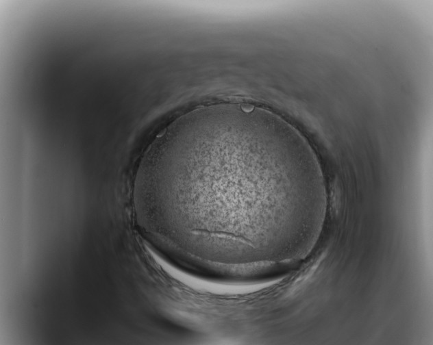 X0000090431494200707201127