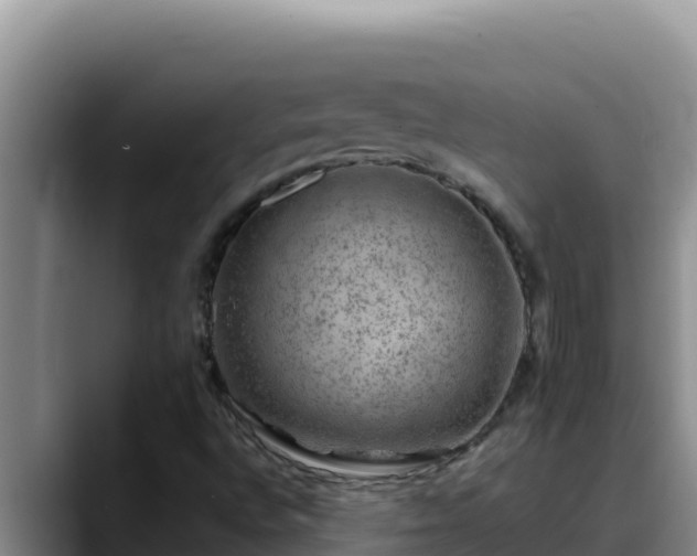 X0000090431496200707201127