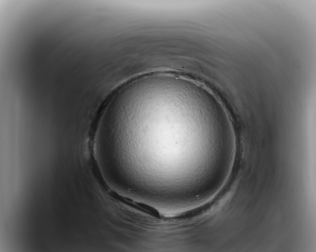 X0000090431497200707201127