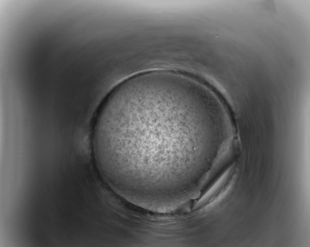 X0000090431501200707201127