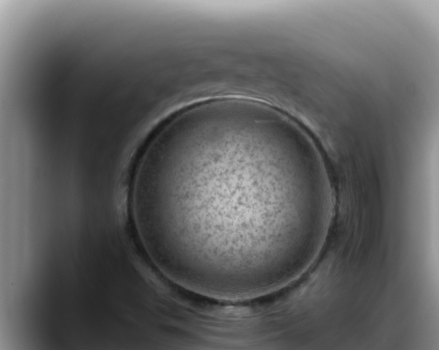 X0000090431503200707201127