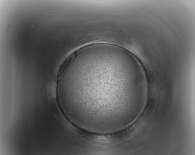X0000090431504200707201127