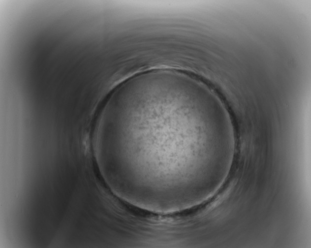 X0000090431505200707201127