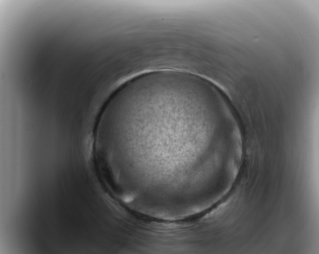 X0000090431507200707201127