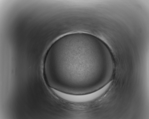X0000090431508200707201127