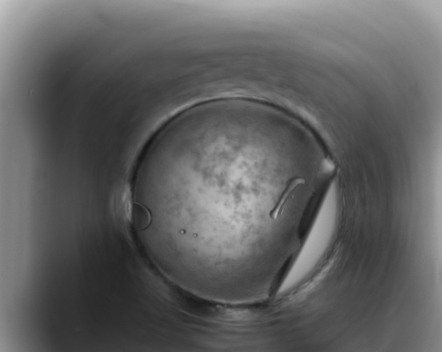X0000090431509200707201127