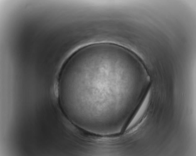 X0000090431510200707201127