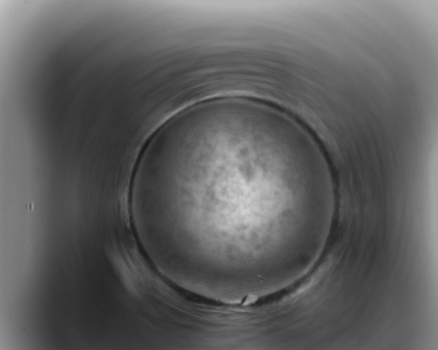 X0000090431513200707201127