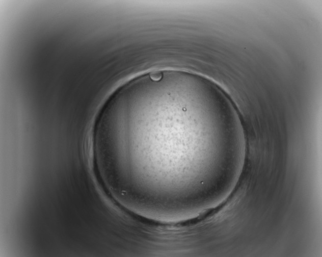 X0000090431515200707201127