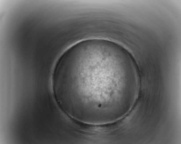 X0000090431517200707201127