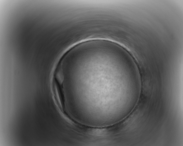 X0000090431519200707201127