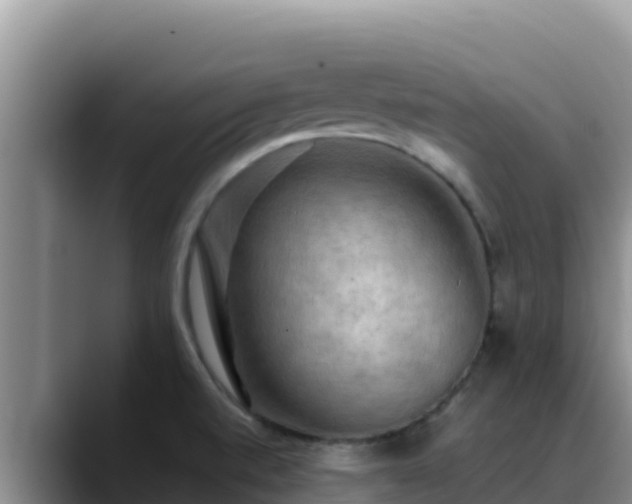X0000090431520200707201127