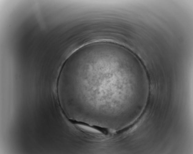 X0000090431521200707201127