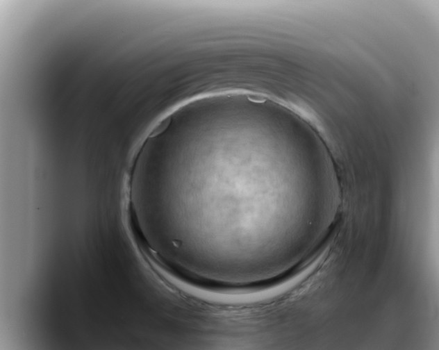 X0000090431524200707201127
