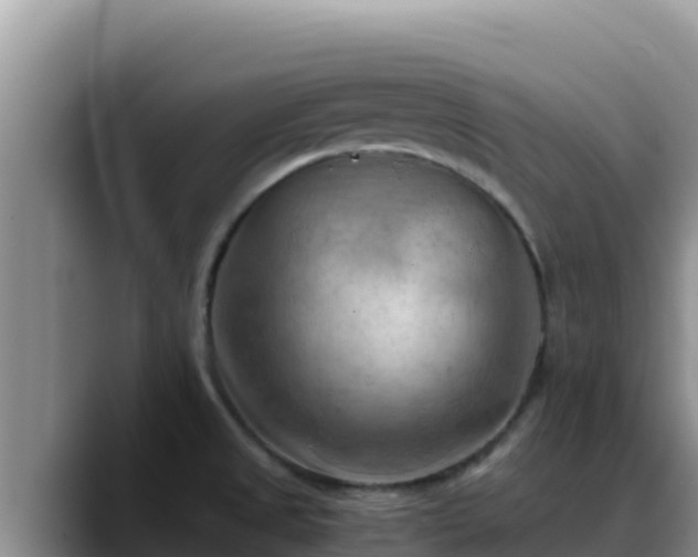 X0000090431525200707201127
