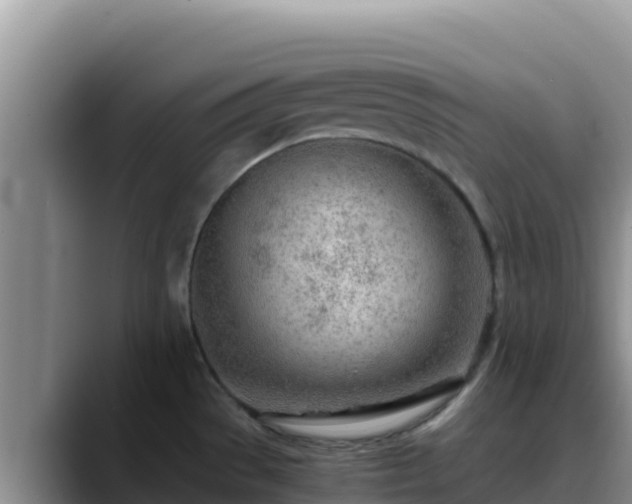 X0000090431529200707201127