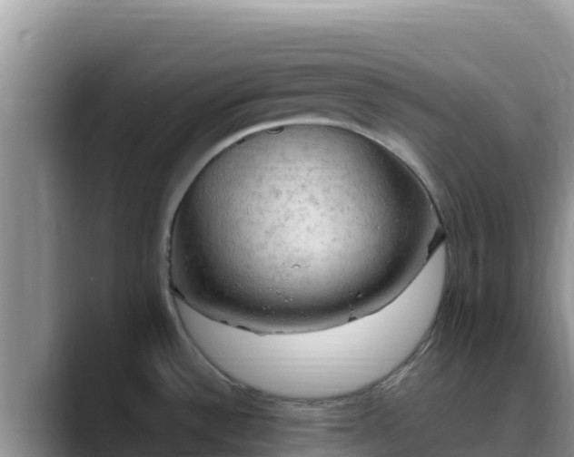 X0000090431532200707201127