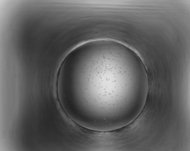 X0000090431534200707201127