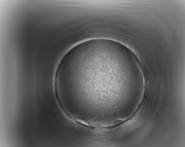 X0000090431535200707201127