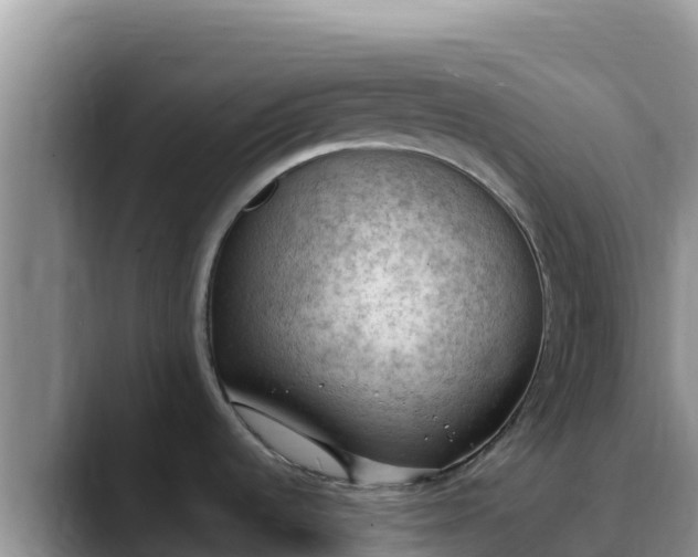 X0000090431536200707201127