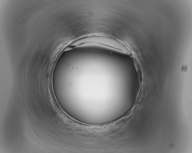 X0000090430001200707272142