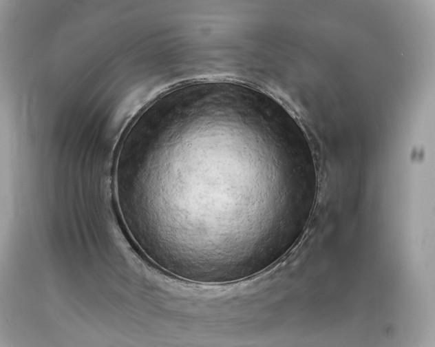 X0000090430002200707272142