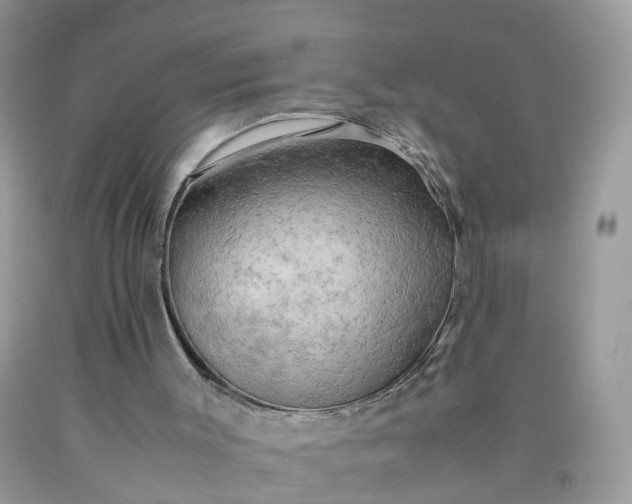 X0000090430003200707272142