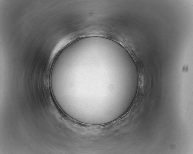 X0000090430004200707272142